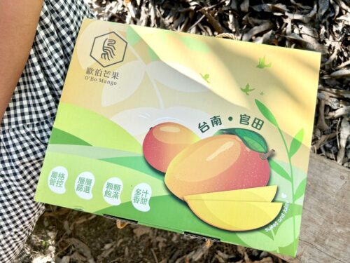 芒果禮盒